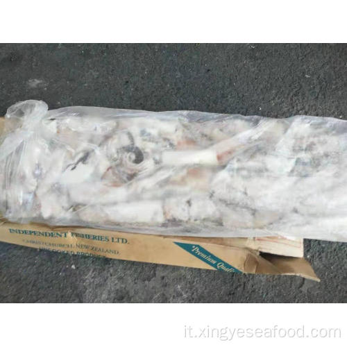 Frozen Arrow Squid (NototoDarus SloanII) 0-100G